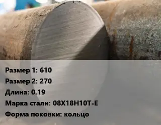 Поковка круглая 610х270 L=0.19 Сталь: 08Х18Н10Т-Е кольцо
